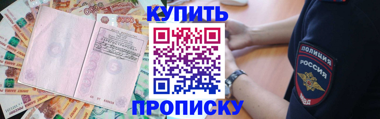 временная регистрация поиск в Заинске